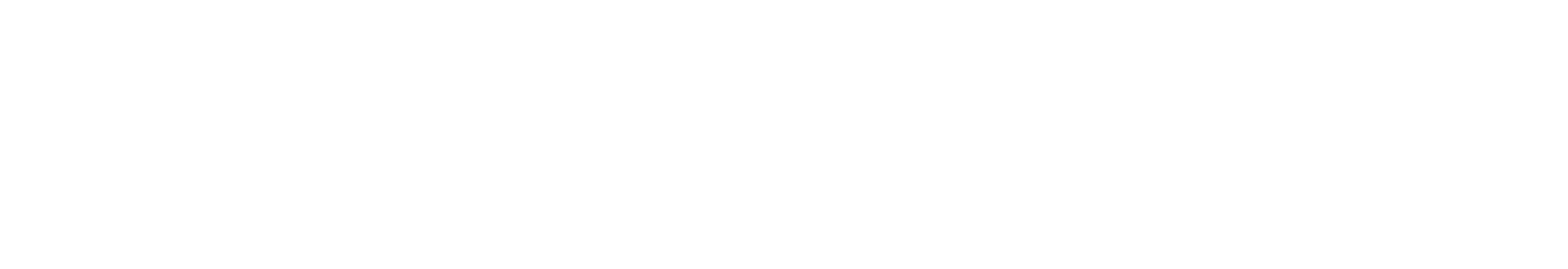 AKZA Digital Strategy